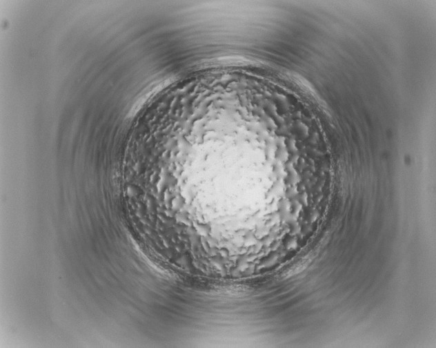 X0000057091225200510071902