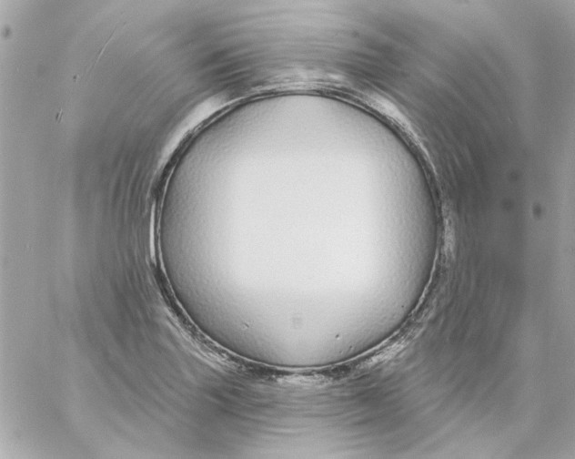 X0000057091227200510071902