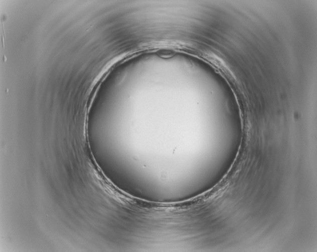 X0000057091228200510071902