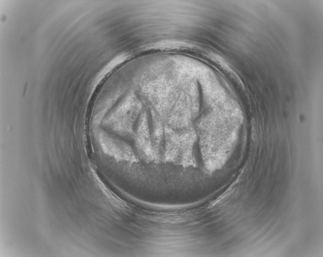 X0000057091229200510071902