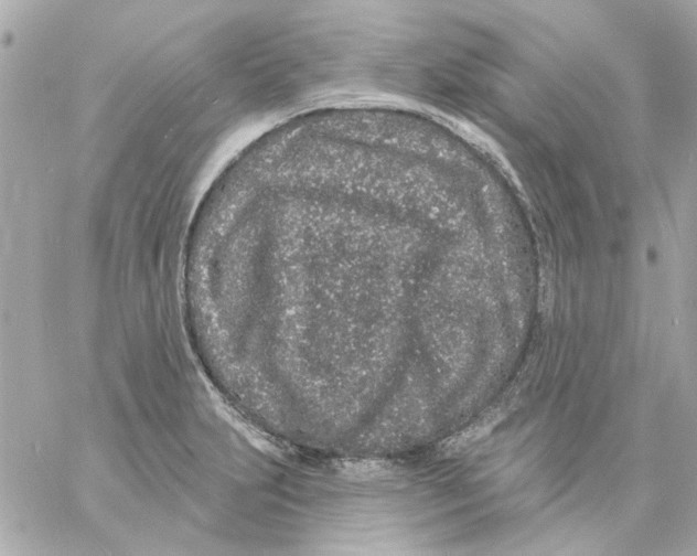 X0000057091231200510071903