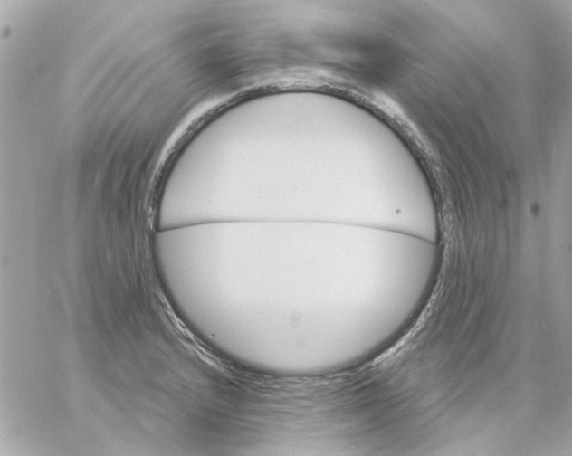 X0000057091232200510071903