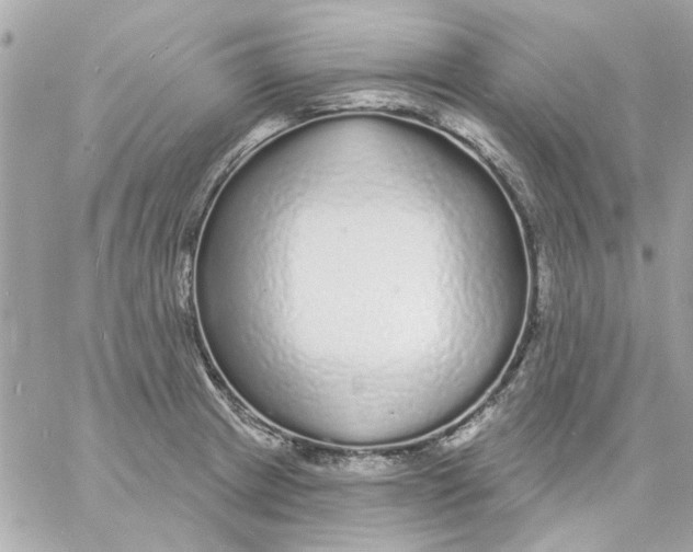 X0000057091233200510071903