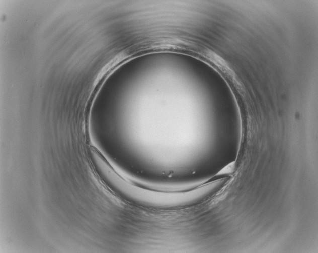 X0000057091234200510071903