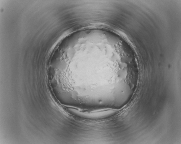 X0000057091235200510071903