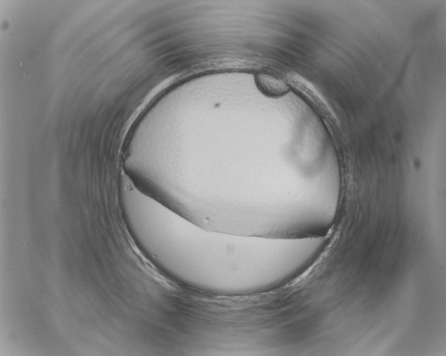 X0000057091236200510071903