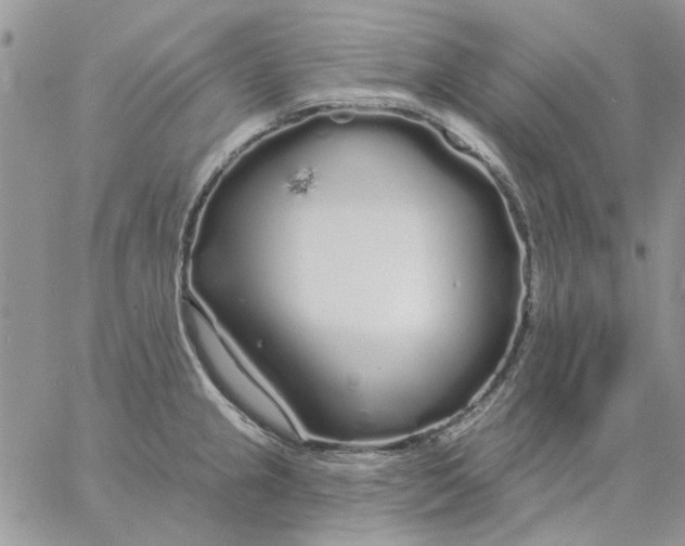 X0000057091237200510071903