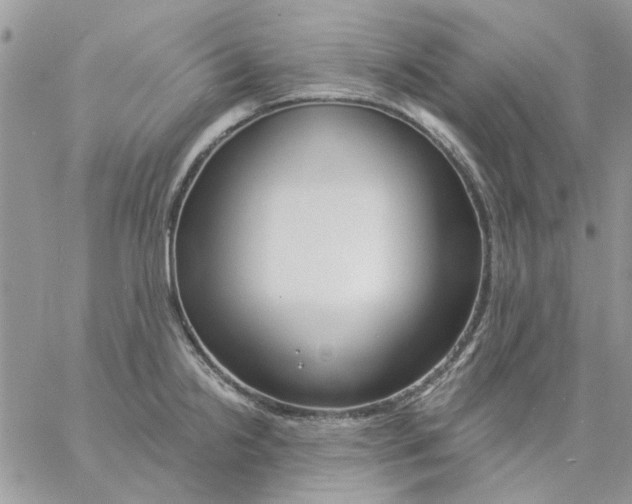 X0000057091238200510071903