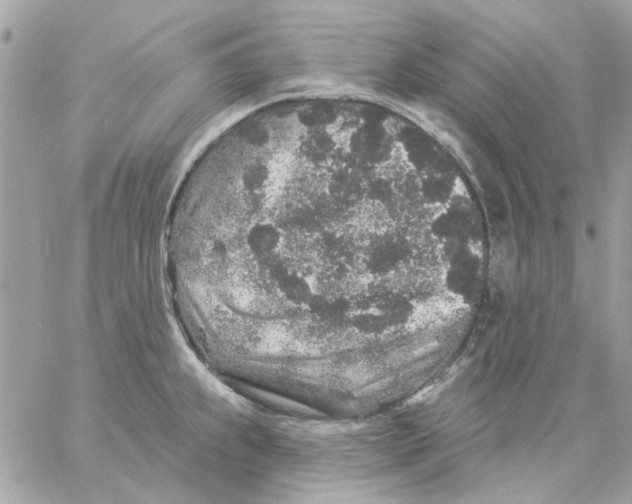 X0000057091239200510071903