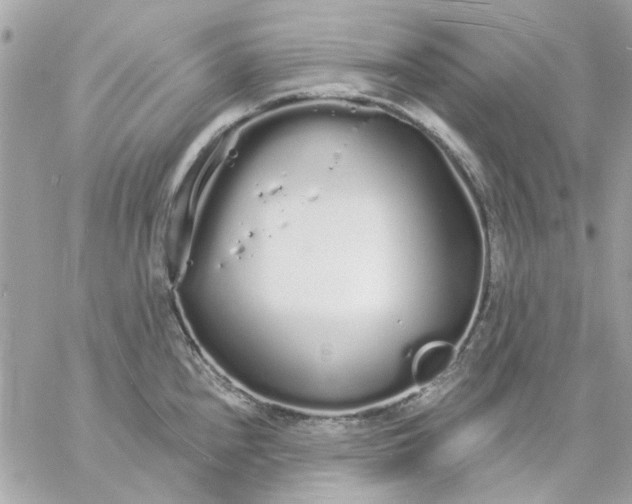 X0000057091240200510071903