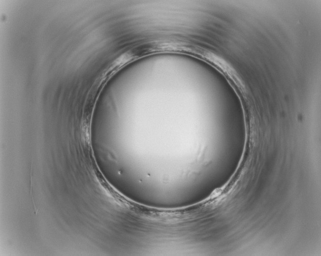 X0000057091241200510071903