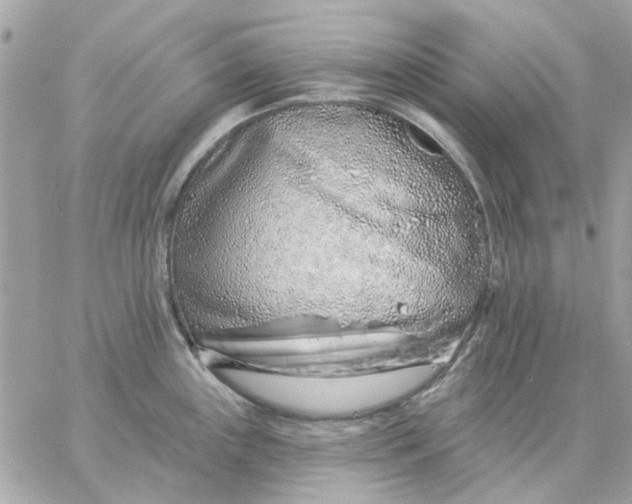 X0000057091243200510071903