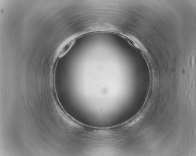 X0000057091246200510071903