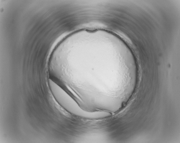 X0000057091248200510071903