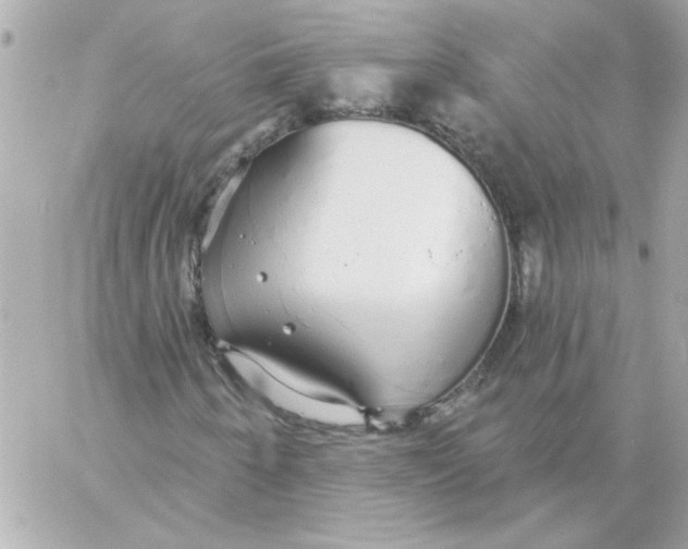 X0000057091250200510071902