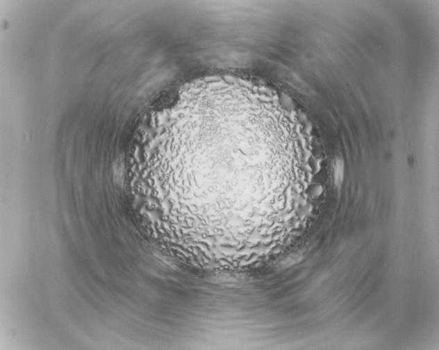 X0000057091251200510071902