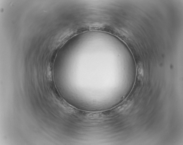 X0000057091252200510071902