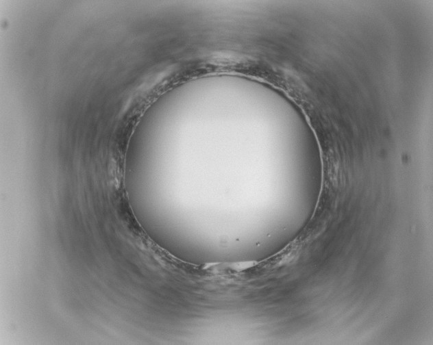 X0000057091253200510071902