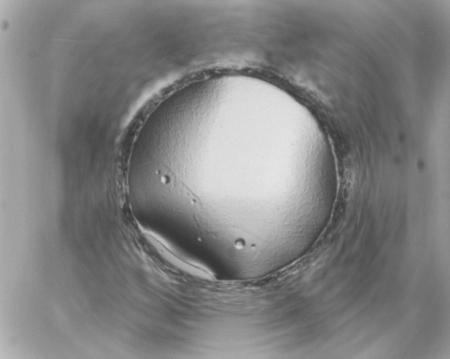 X0000057091256200510071902