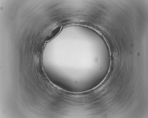 X0000057091257200510071902