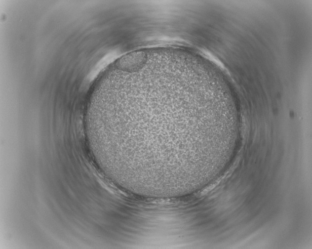 X0000057091259200510071902