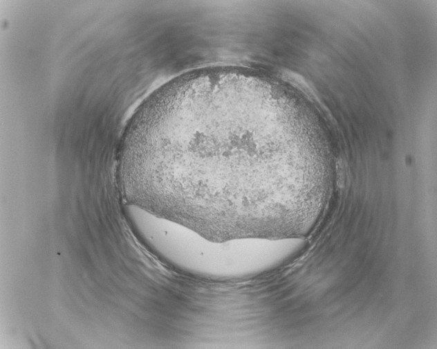 X0000057091260200510071902