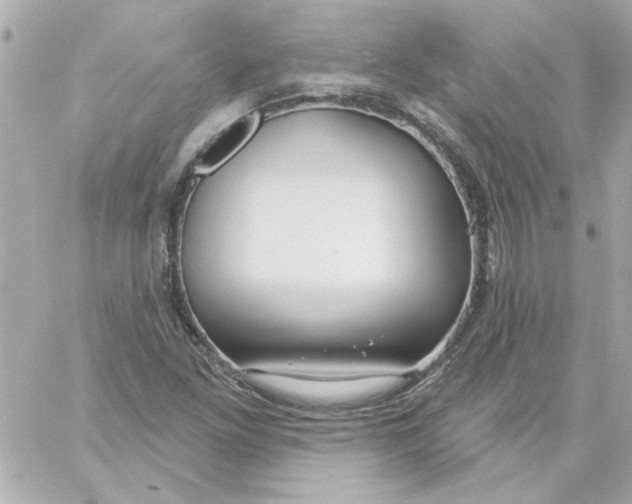 X0000057091261200510071902