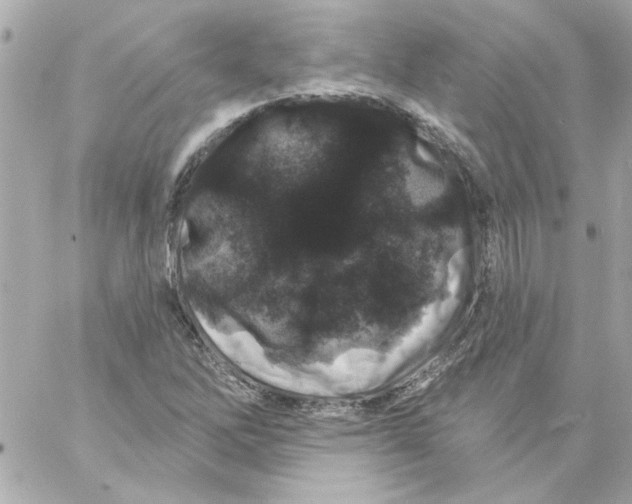 X0000057091262200510071902