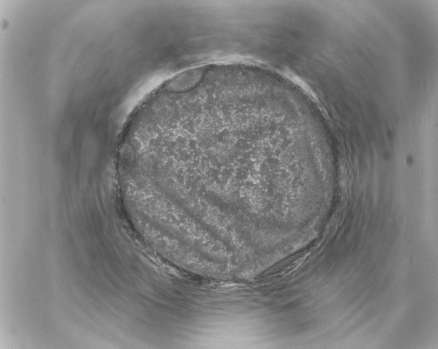 X0000057091263200510071902