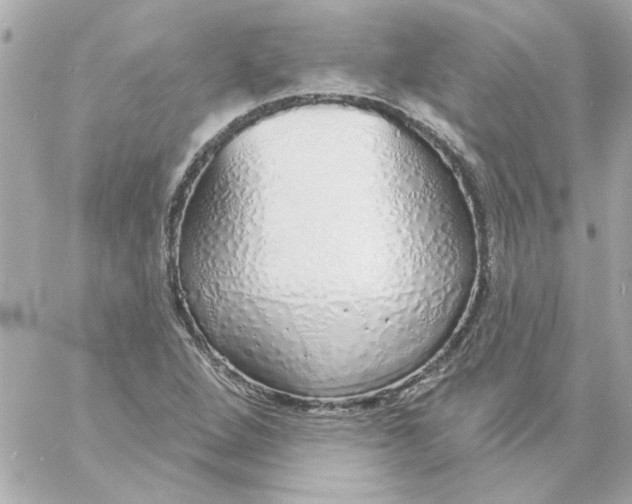 X0000057091264200510071902