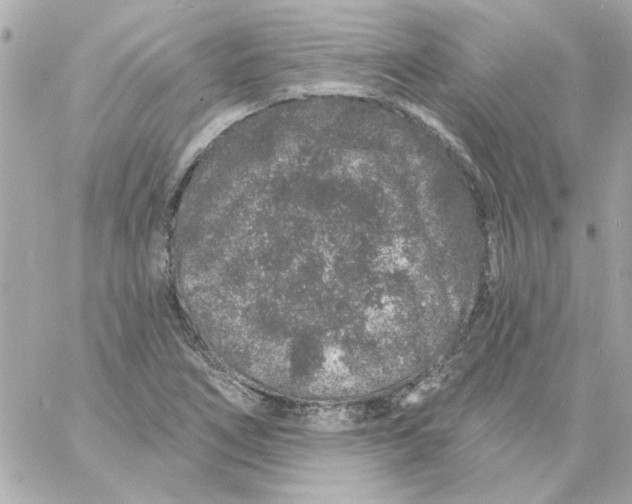 X0000057091266200510071902