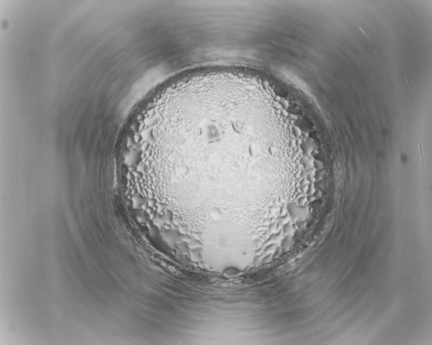 X0000057091267200510071902