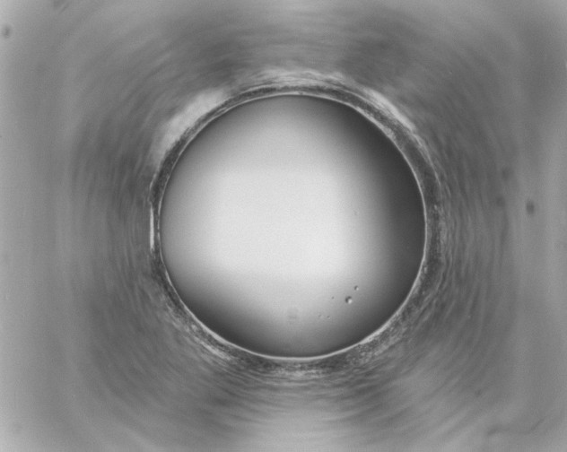 X0000057091269200510071902