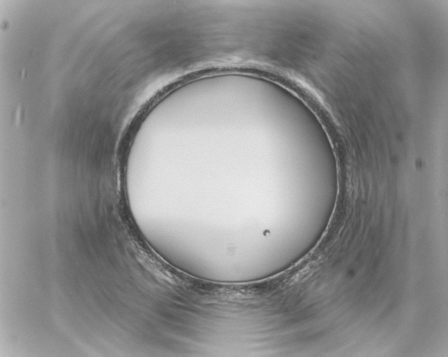 X0000057091270200510071902