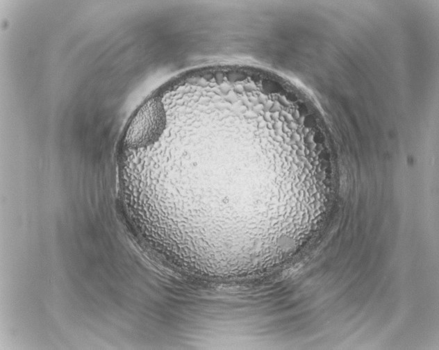 X0000057091271200510071902