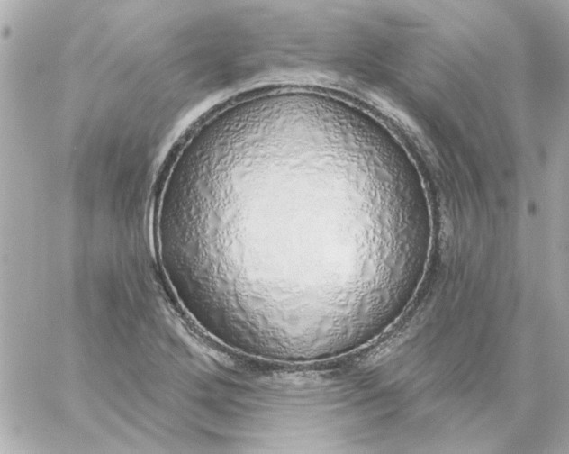 X0000057091272200510071902