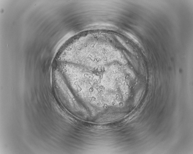 X0000057091275200510071902