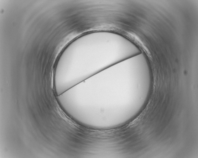 X0000057091276200510071902