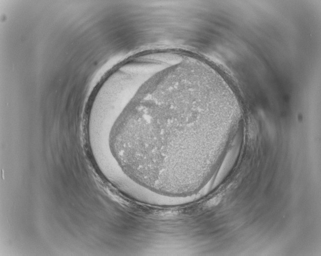 X0000057091278200510071901