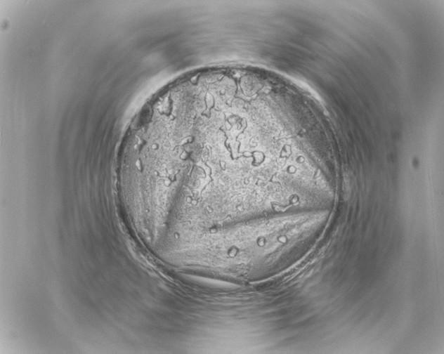 X0000057091279200510071901