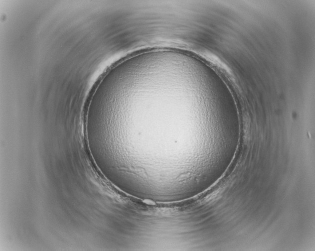 X0000057091280200510071901