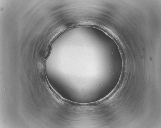 X0000057091281200510071901