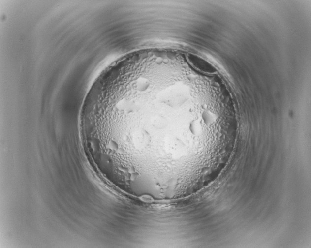 X0000057091283200510071901