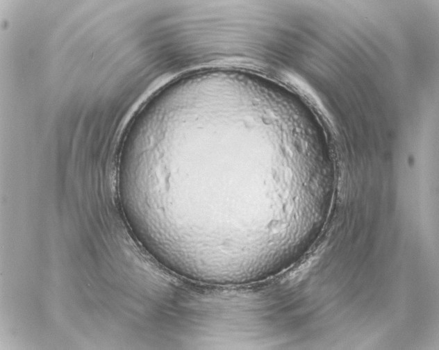 X0000057091284200510071901