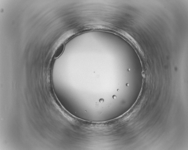 X0000057091285200510071901