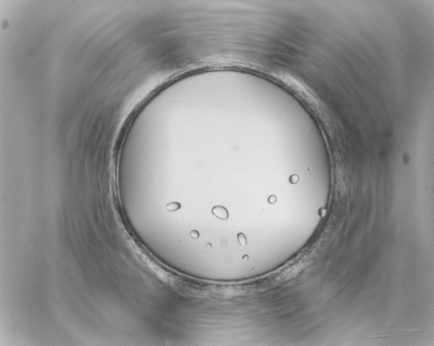 X0000057091286200510071901