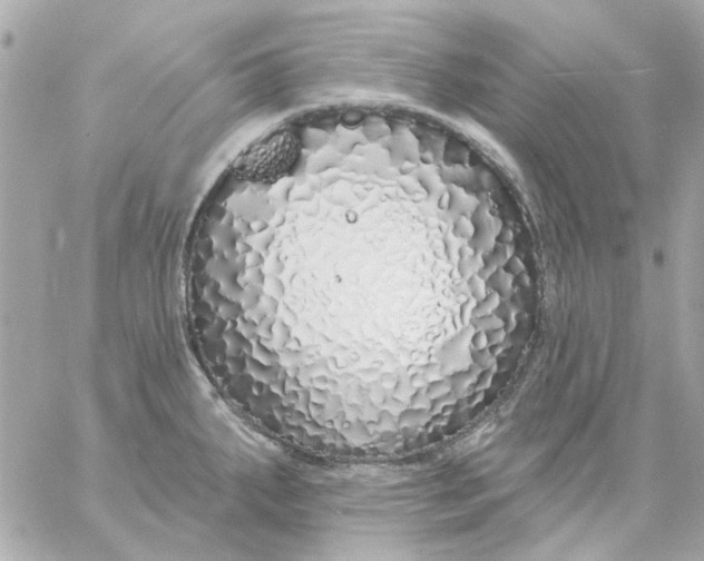 X0000057091287200510071901