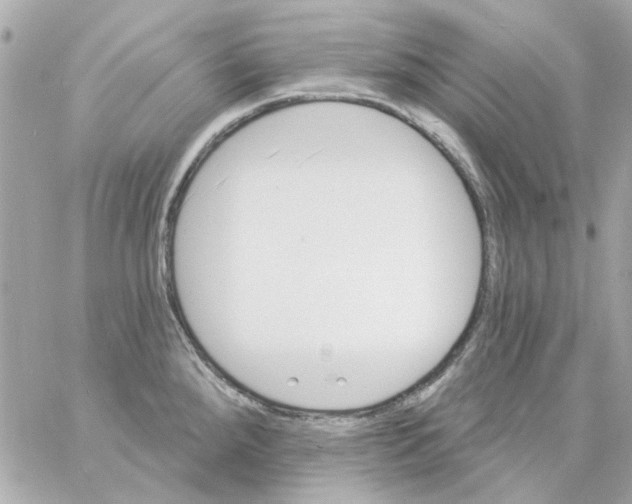 X0000057091288200510071901