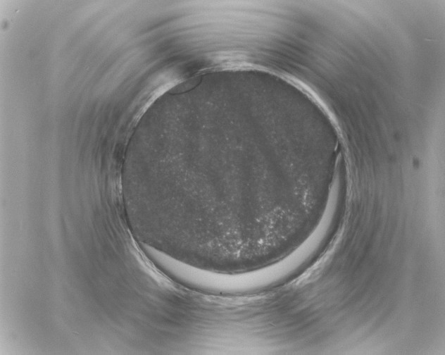 X0000057091289200510071901