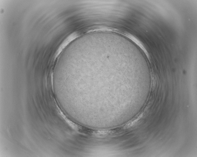 X0000057091290200510071901